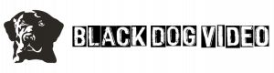 Black Dog Video